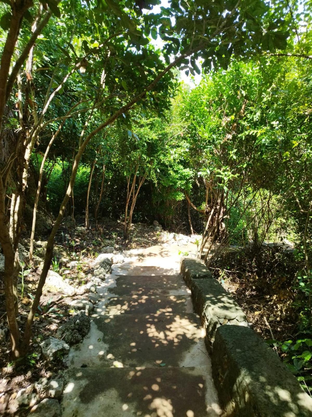 Monkey Mountain Lodge Mtende Bagian luar foto