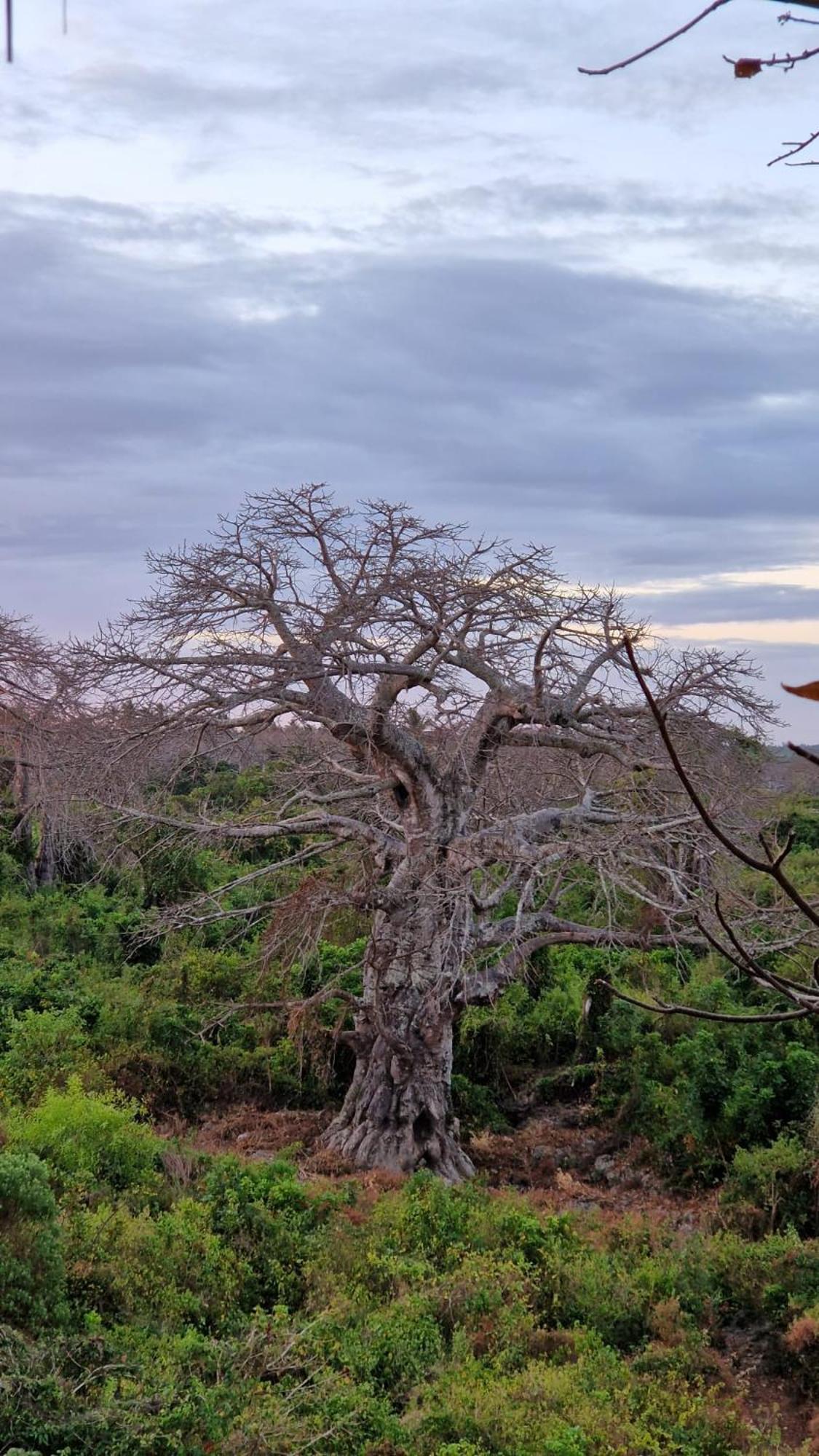 Monkey Mountain Lodge Mtende Bagian luar foto
